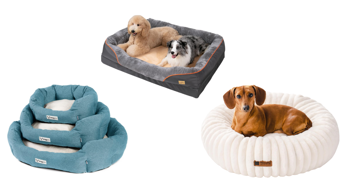 Hundebett