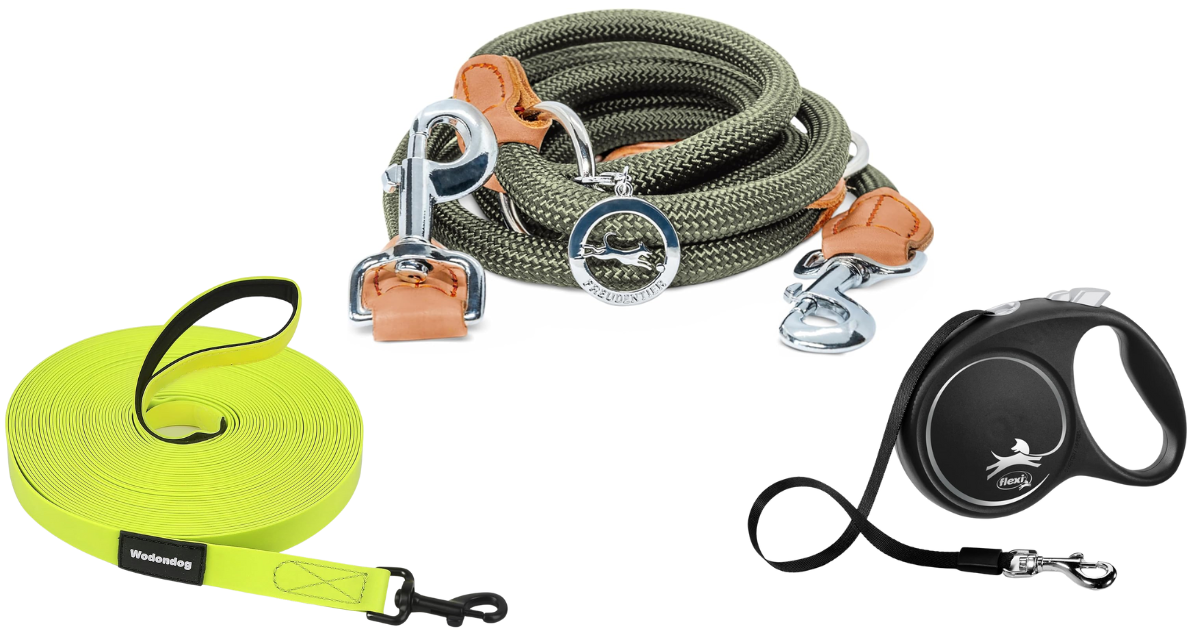 Hundeleine und Hundegeschirr